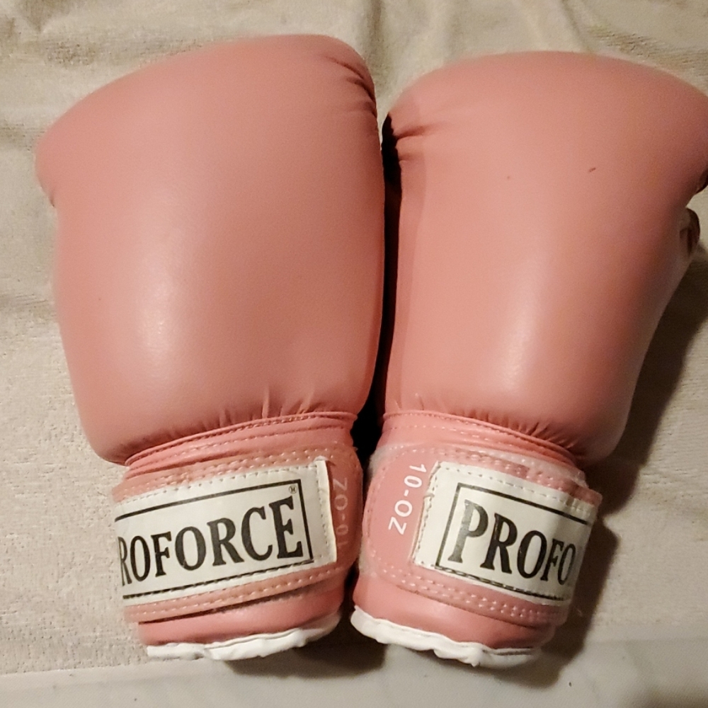Proforce 10oz boxing gloves